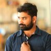 pexels-ravi-k-938639 pexels-ravi-k-938639